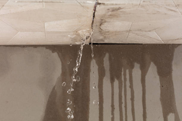 Professional Burst Pipe Cleanup technician working in Washburn, IL